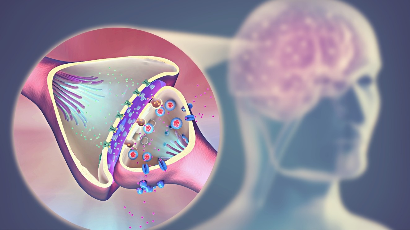 Introduction to Cholinergic Drugs